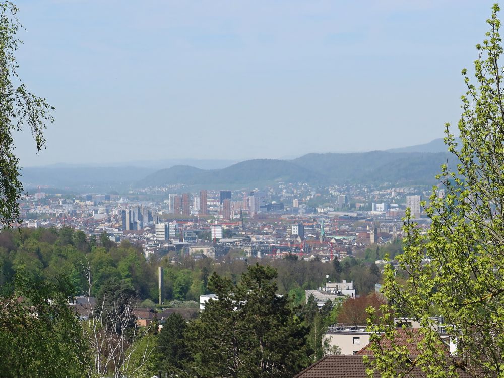 Blick Richtung Zürich