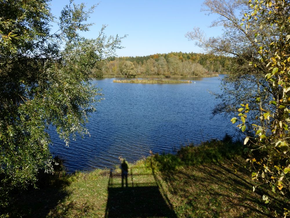 Schwackenreuter Seen und Schatten