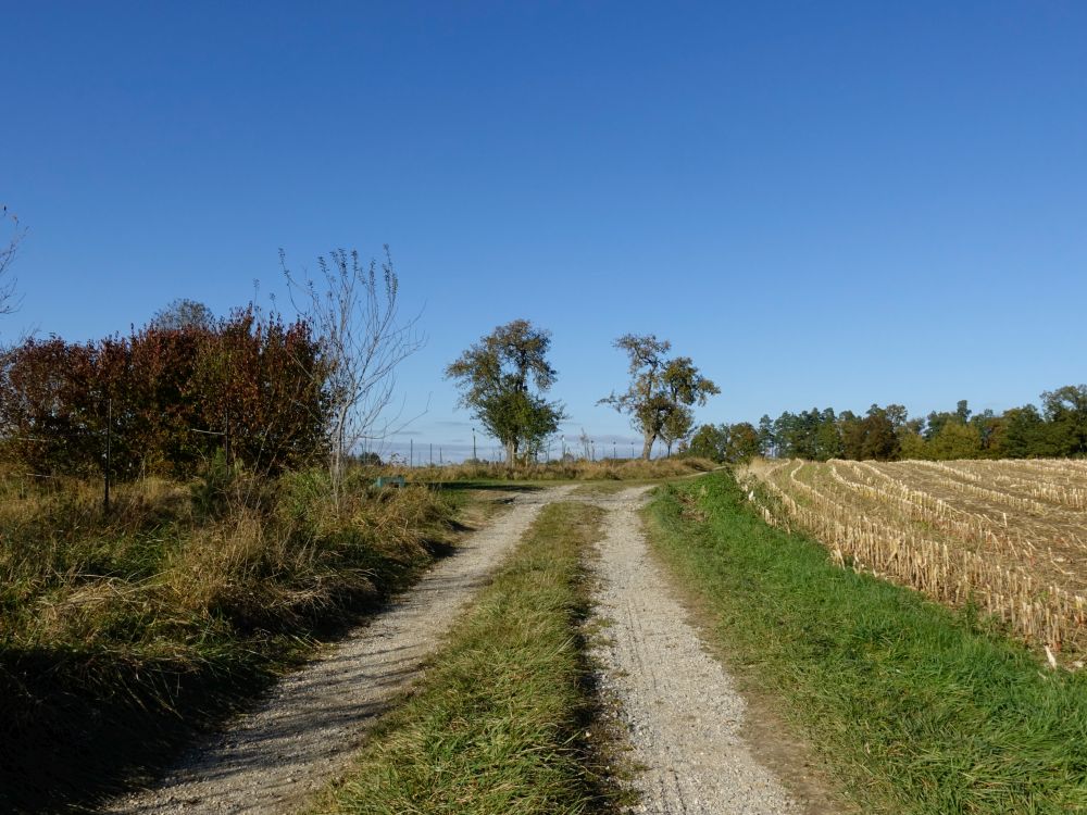 Wirtschaftsweg