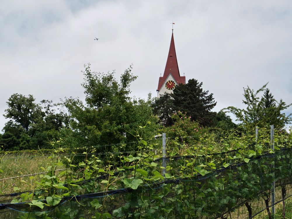 Kirche Hoengg