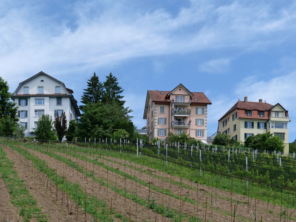 Rebberg Chilesteig