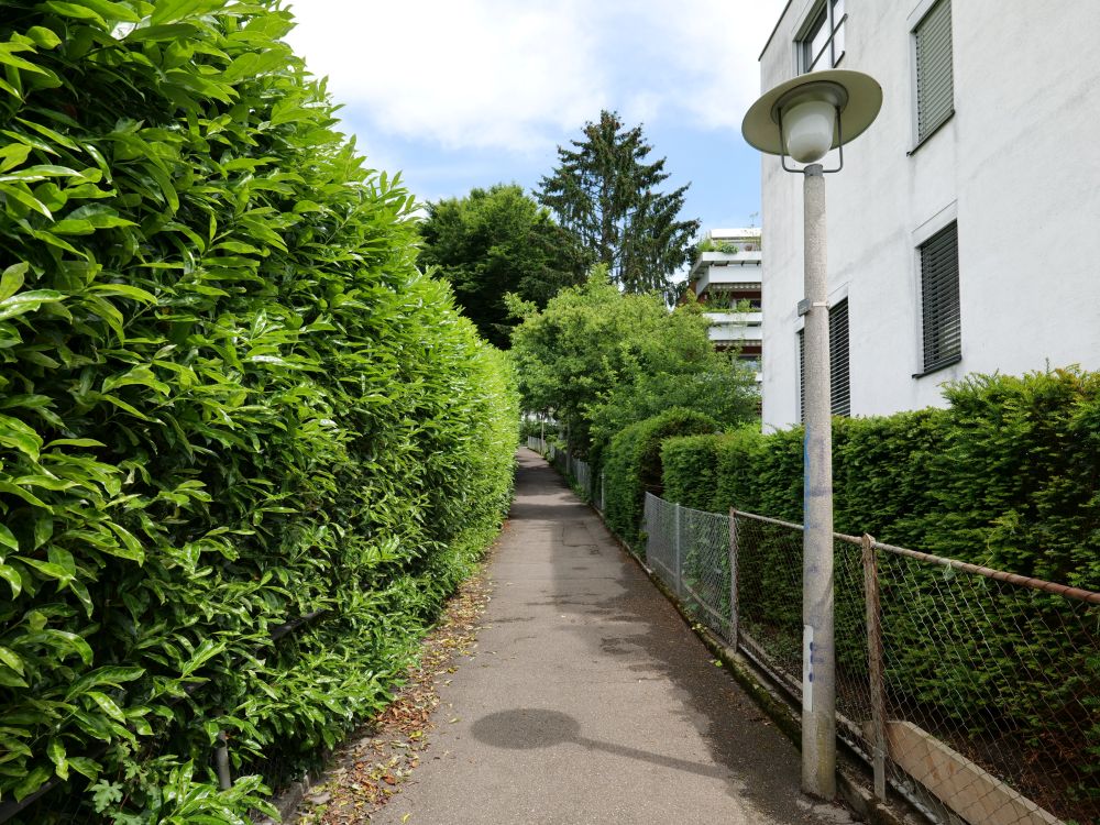 Tobeleggweg