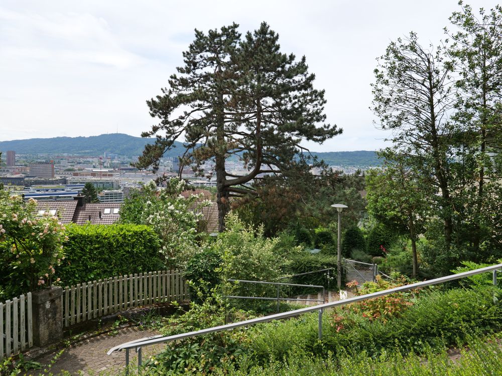 Kempfhofsteig