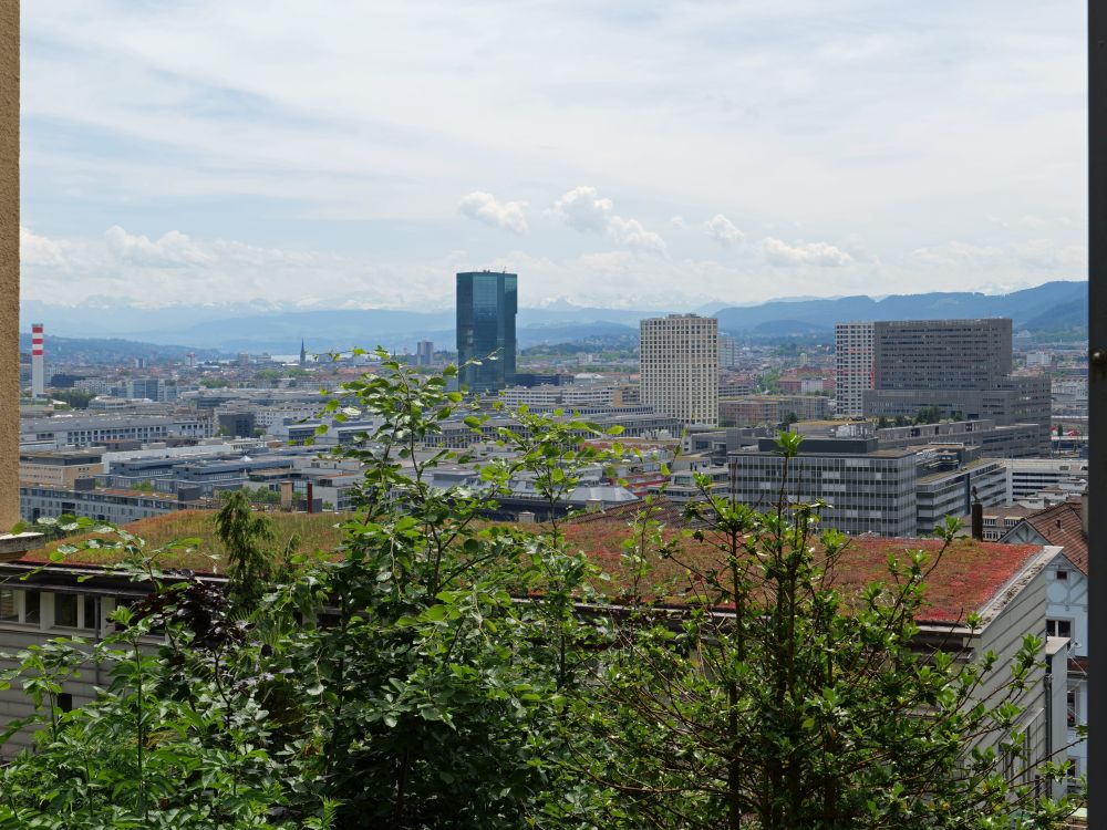 Blick auf Zürich