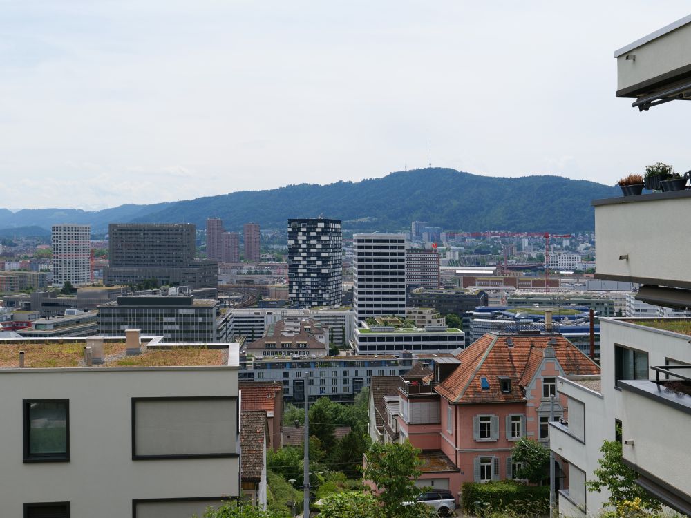 Blick Richtun Uetliberg