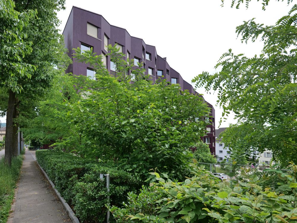Gesundheitszentrum