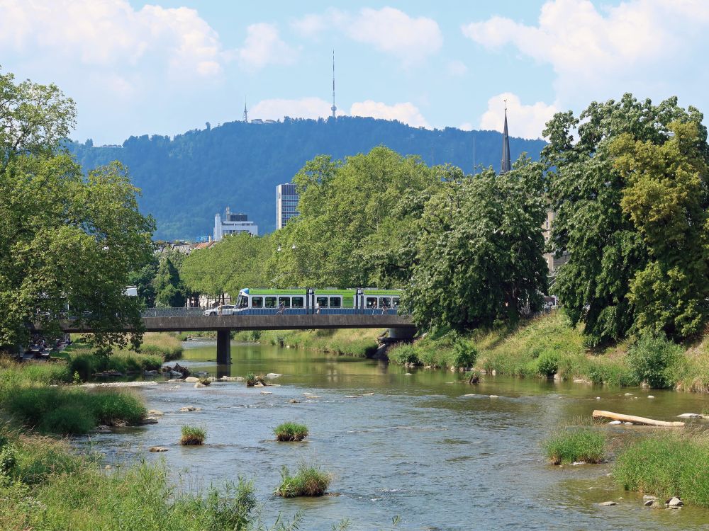 Sihl mit Blick auf Uetliberg