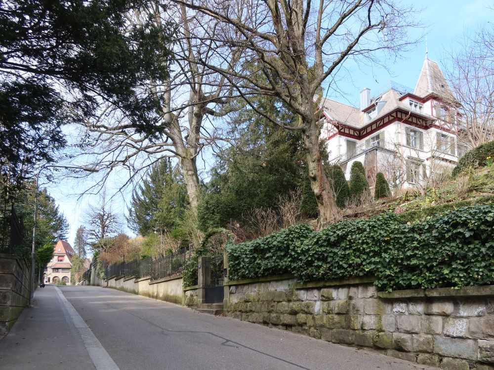 Nägelistrasse