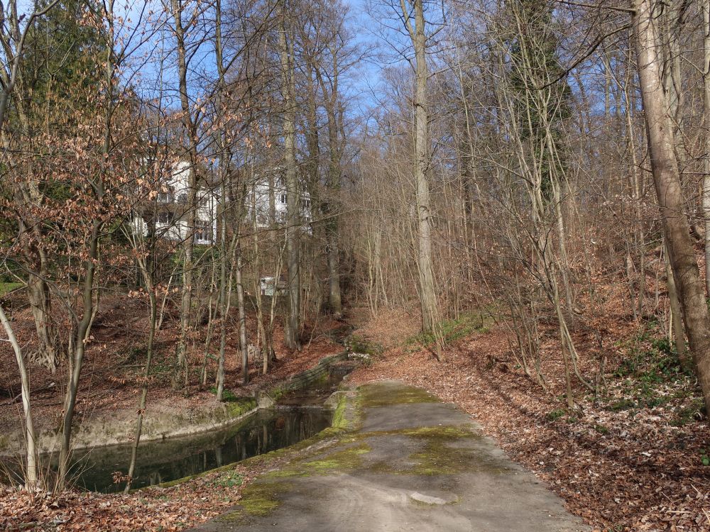 Wolfbachtobel