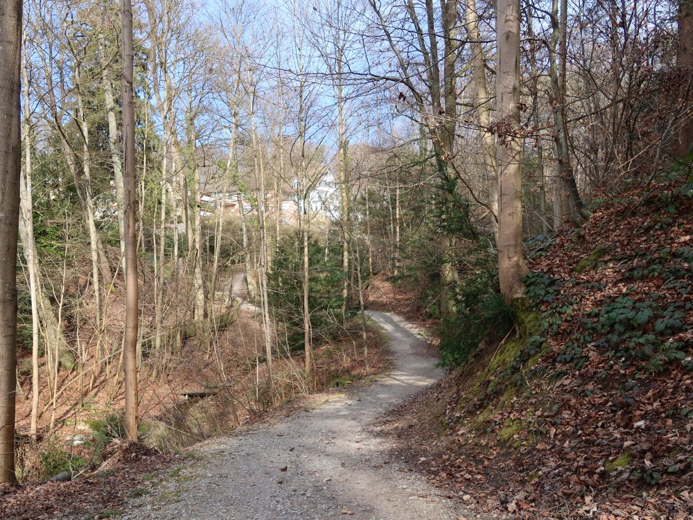 Wolfbachtobel