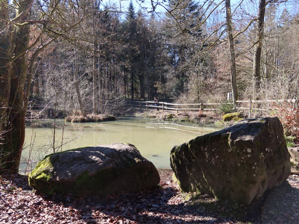 Felsbrocken am Moosholzweiher