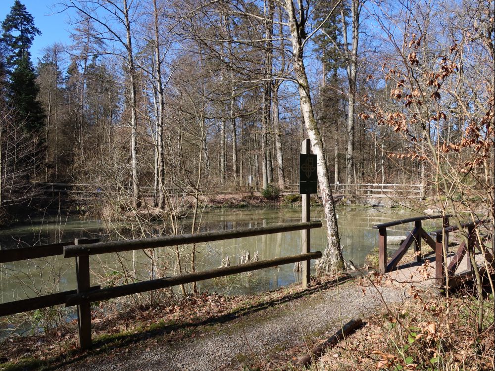 Moosholzweiher