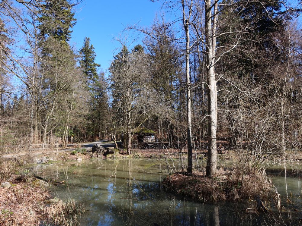 Moosholzweiher