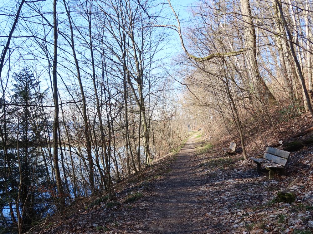 Sitzbänke am Resiweiher