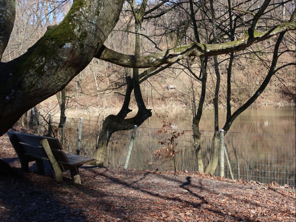 Sitzbank am Resiweiher