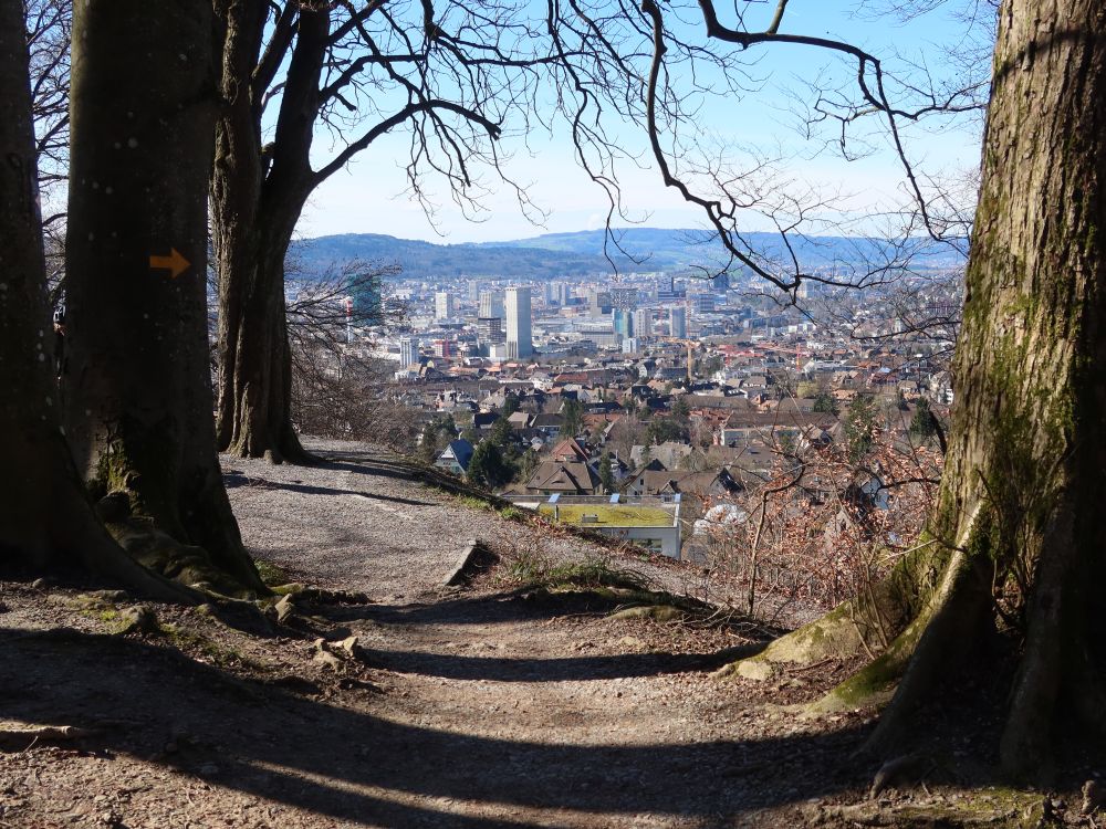 Blick über Zürich