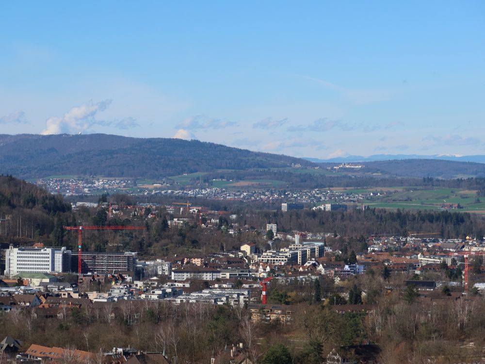 Lägeren und Regensberg am Horizont