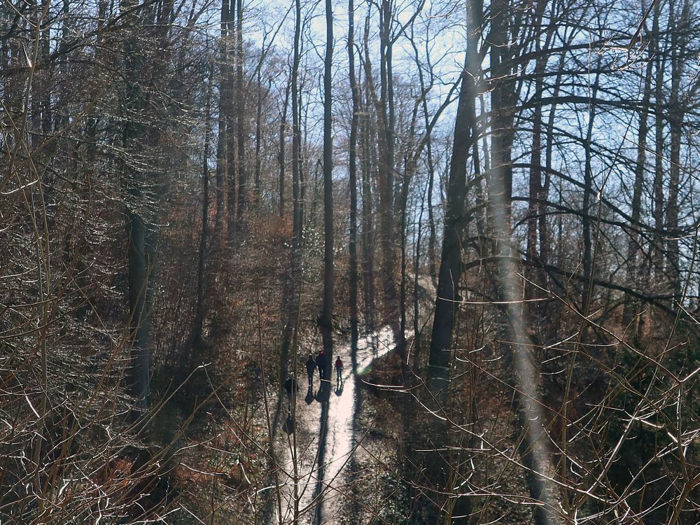 Letziweg hinter Bäumen