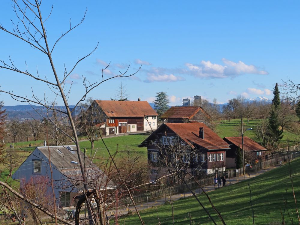 Bauernhof an der Hüttenkopfstrasse