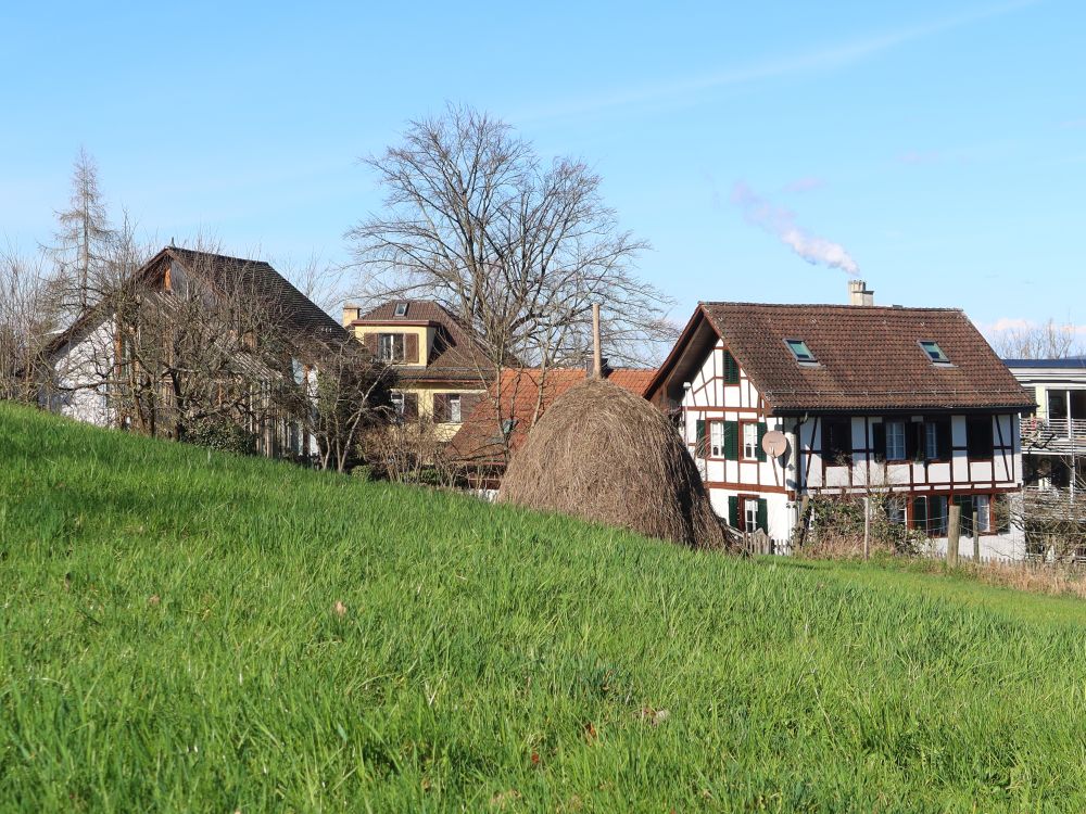 Heuschochen und Fachwerkhaus