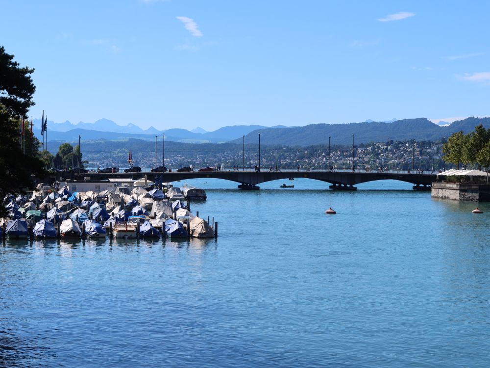 Quaibrücke und Alpensicht
