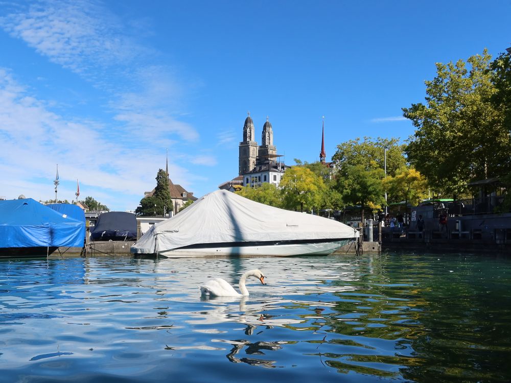 Grossmünster