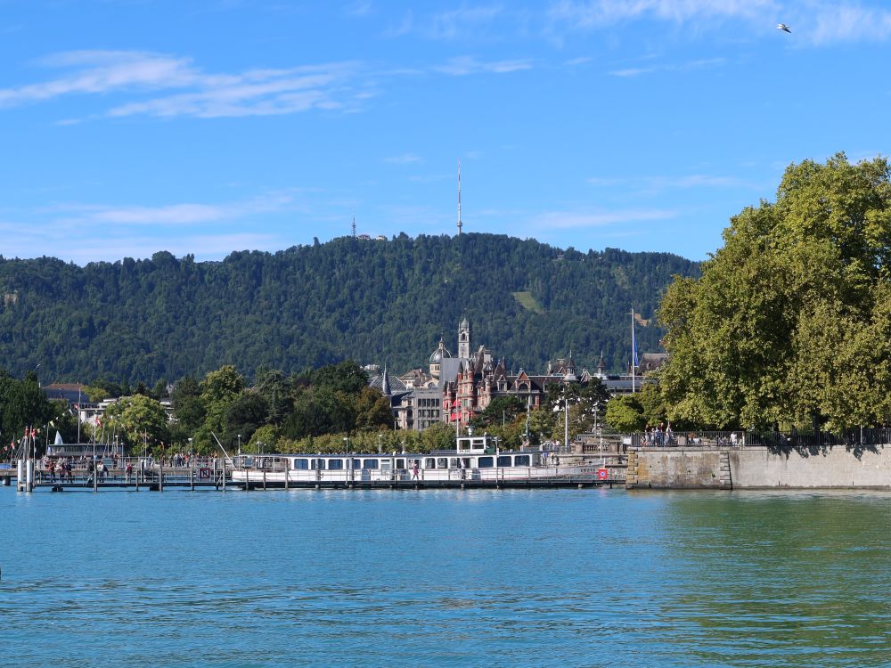 Rotes Schloss und Ref. Kirche Enge unterm Uetliberg