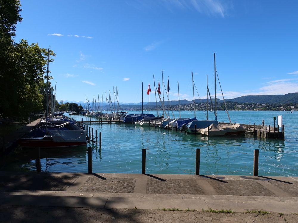 Hafen Riesbach