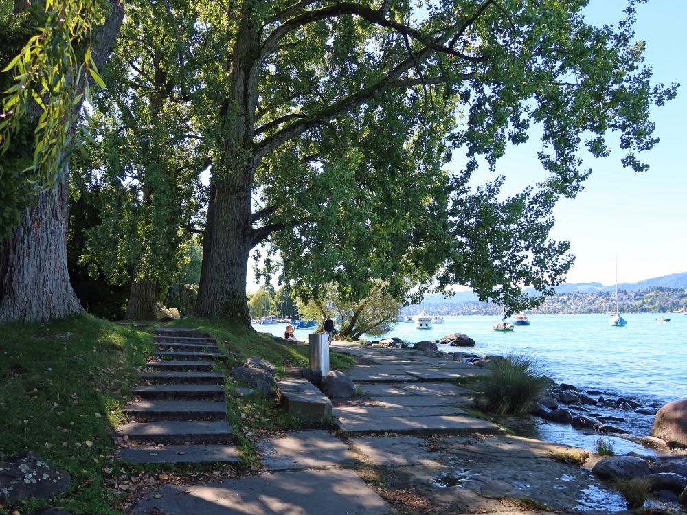 Weg am Seeufer
