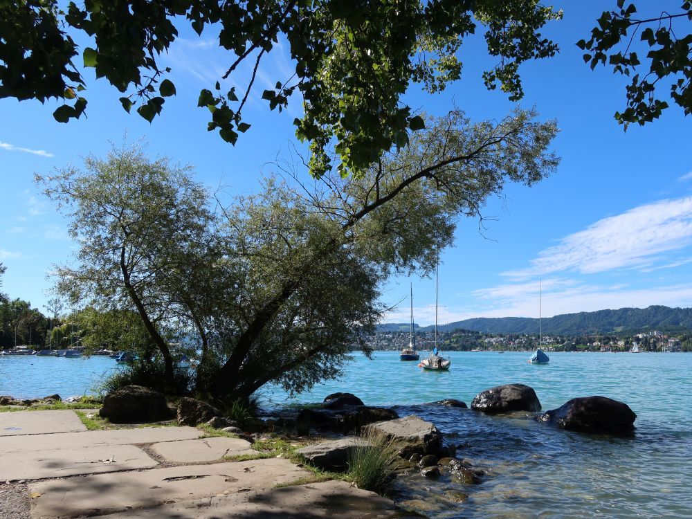 Weg am Seeufer