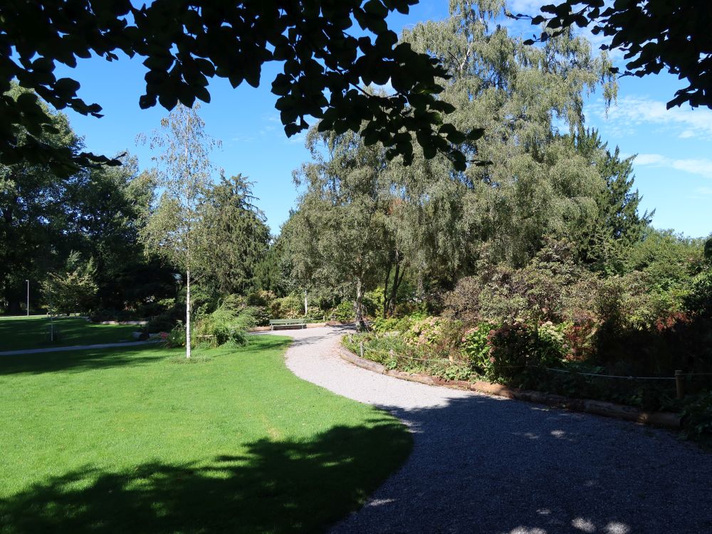 Uferpark