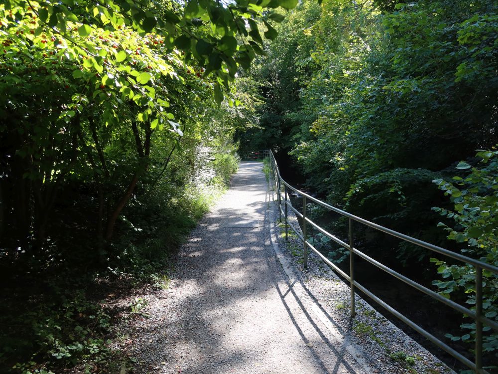 Weg am Wildbach (auch Werenbach)