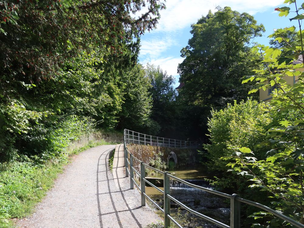 Weg am Wildbach (auch Werenbach)
