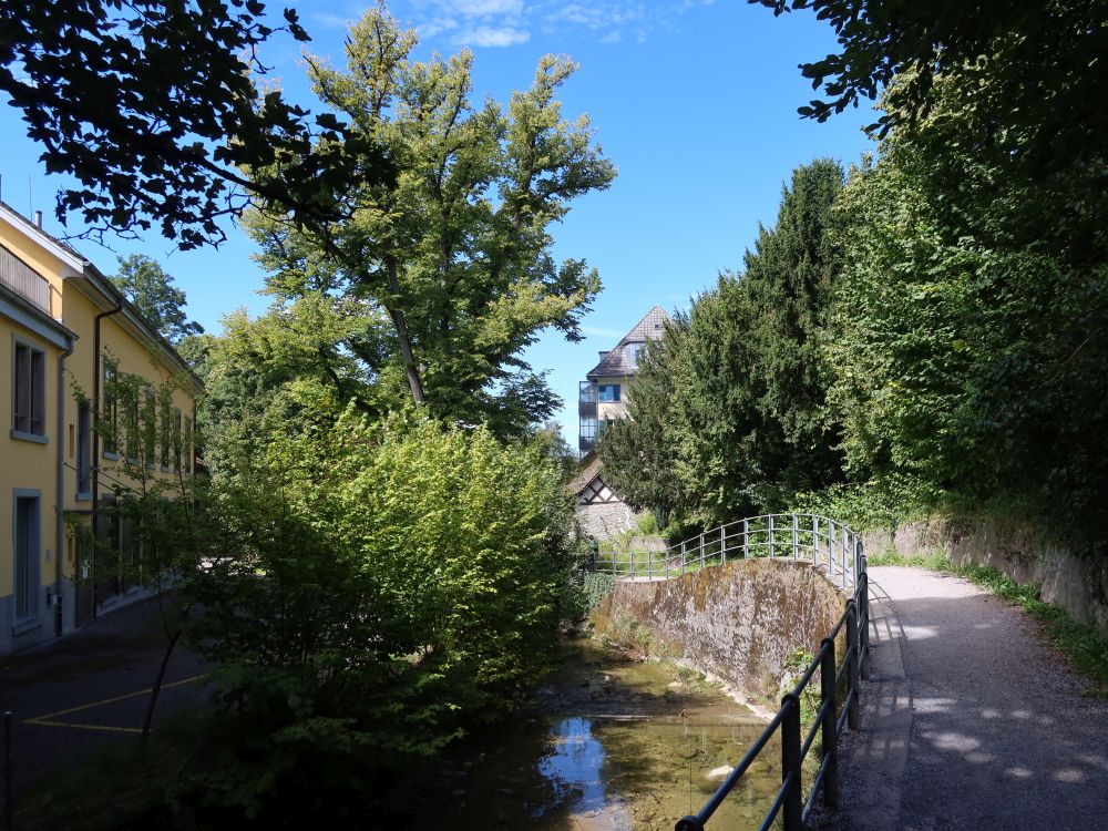 Weg am Wildbach (auch Werenbach)