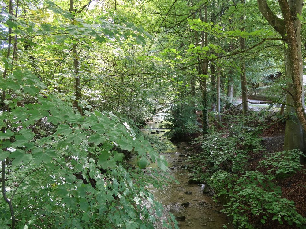 Weg am Wildbach (auch Werenbach)