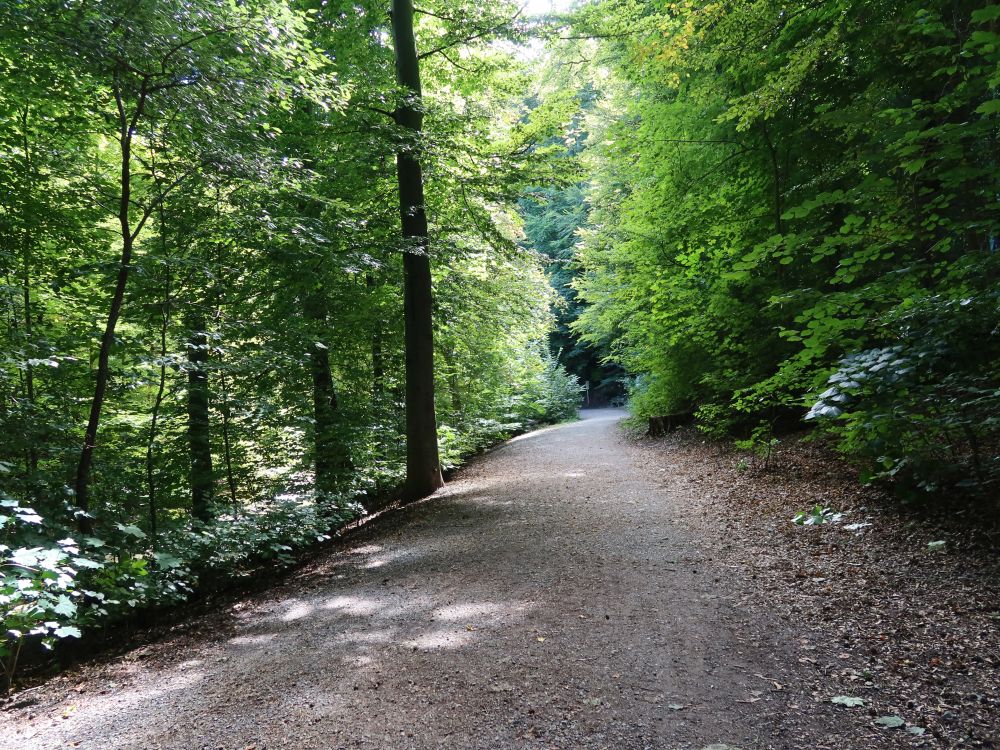 Weg am Wildbach (auch Werenbach)
