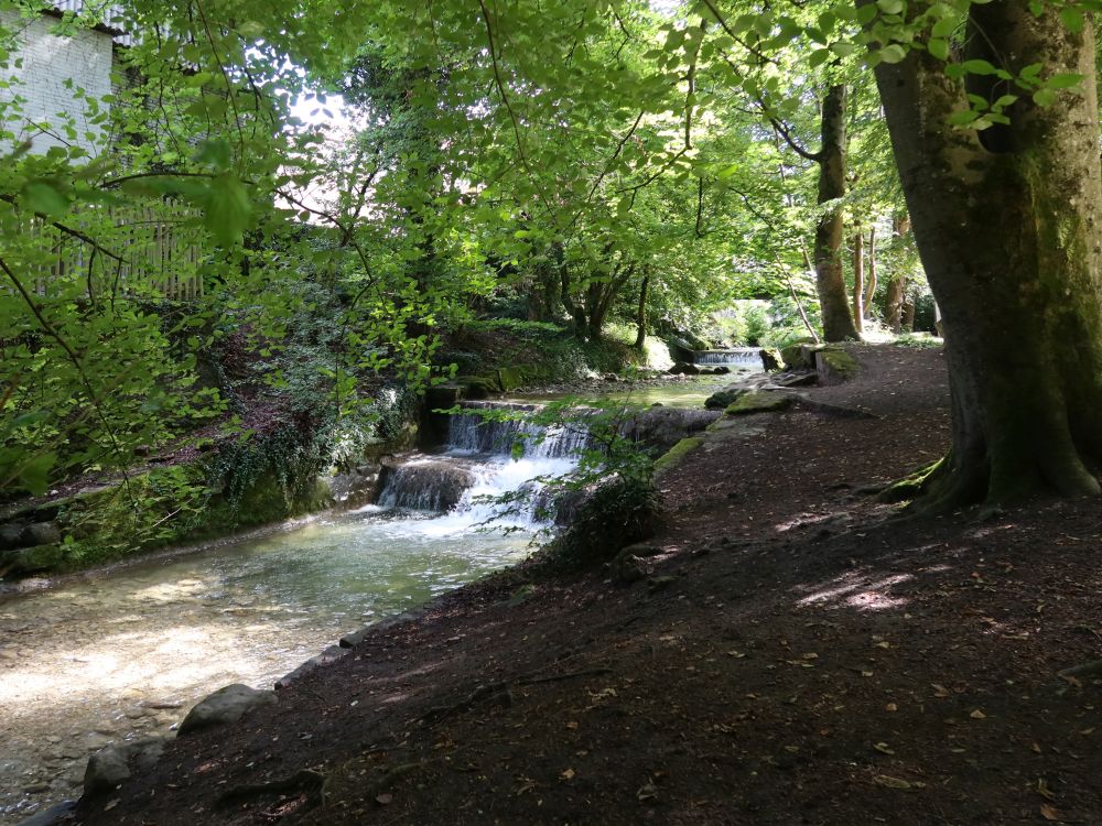 Wildbach (auch Werenbach)