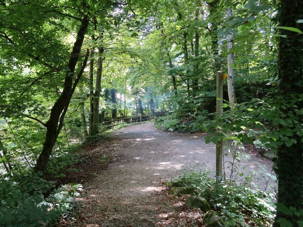 Weg am Wildbach (auch Werenbach)