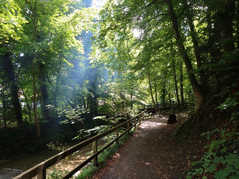 Weg am Wildbach (auch Werenbach)
