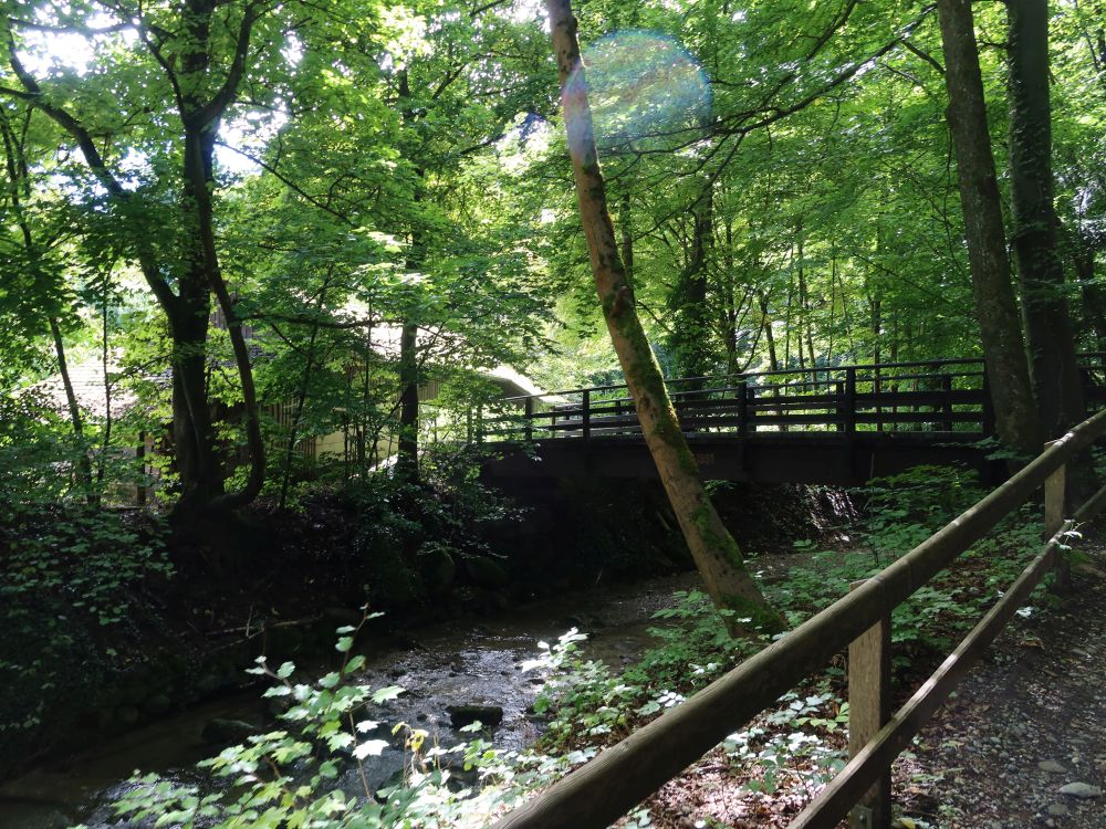 Weg am Wildbach (auch Werenbach)