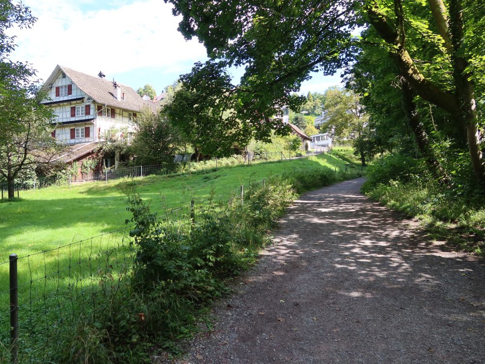 Weg bei Burgwies