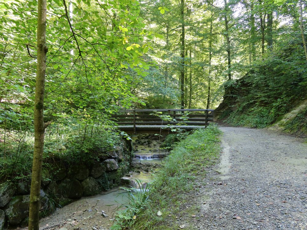 Stöckentobelweg am Elefantenbach