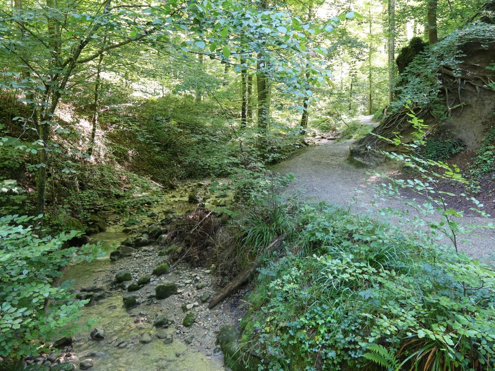 Stöckentobelweg am Elefantenbach