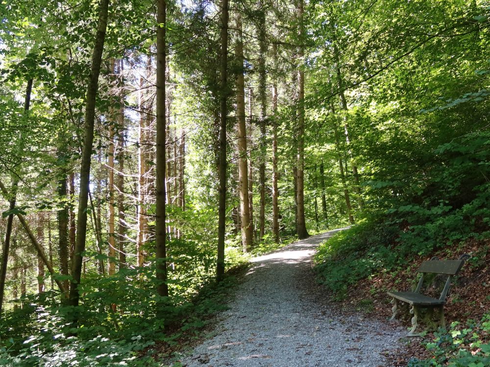 Waldweg