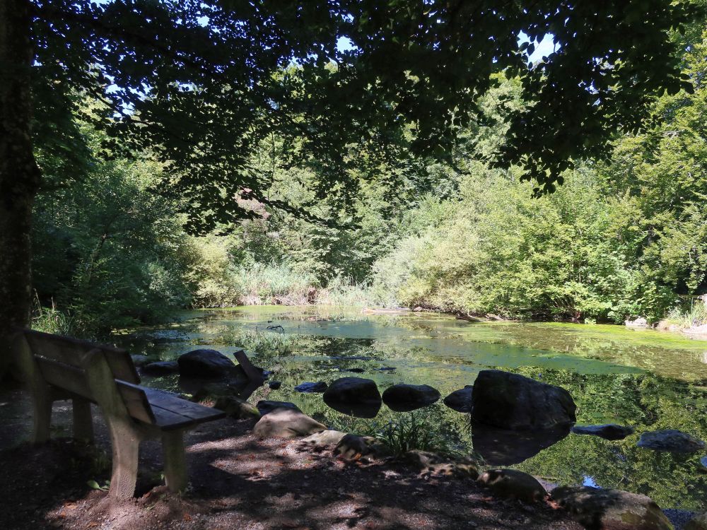 Dolderteich bei Degenried