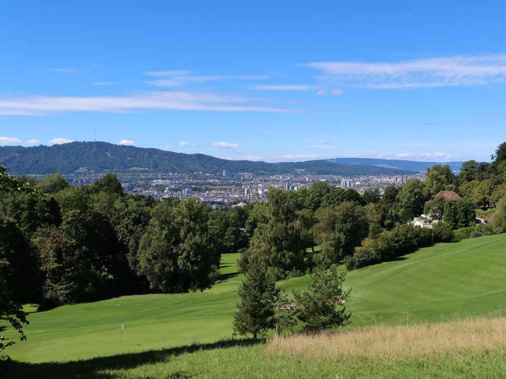 Üetliberg und Zürich