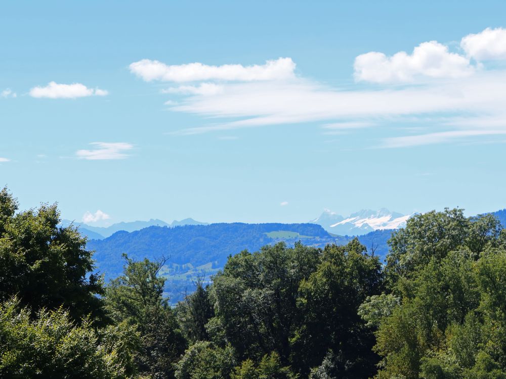 Albis mit Alpen im Hintergrund