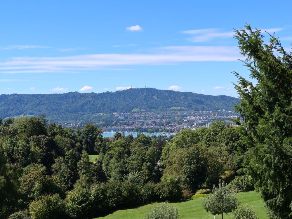 Blick Richtung Uetliberg