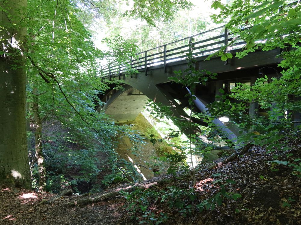 Brücke Waldhausstrasse