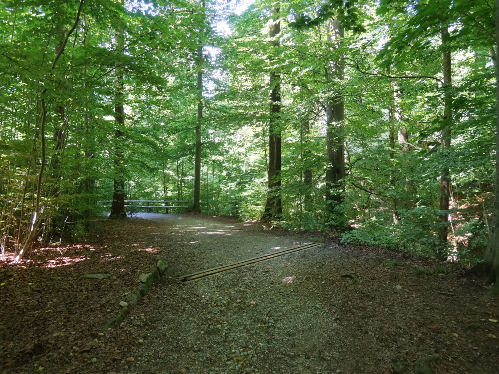Wolfbachtobelweg